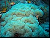 IMG_3811.JPG