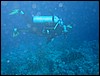 IMG_3814.JPG