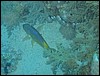 IMG_3816.JPG