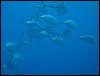 IMG_3820.JPG