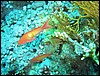 IMG_3827.JPG