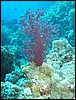 IMG_3828.JPG