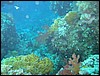 IMG_3830.JPG