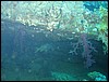 IMG_3833.JPG