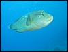 IMG_3836.JPG
