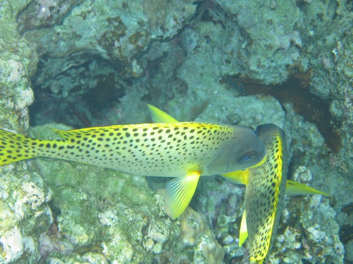 IMG_3846.JPG