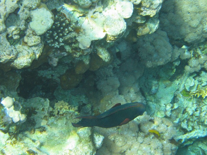 IMG_3847.JPG