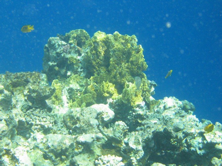 IMG_3848.JPG