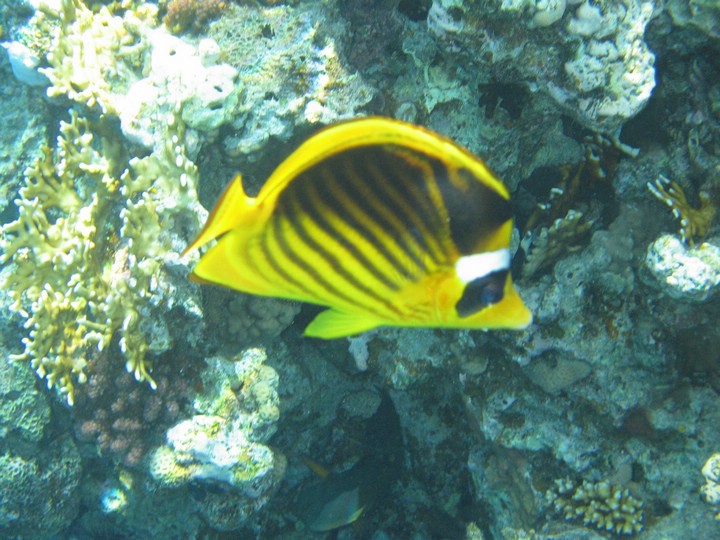IMG_3850.JPG