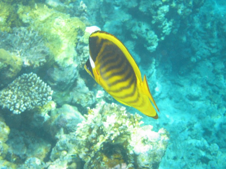 IMG_3851.JPG