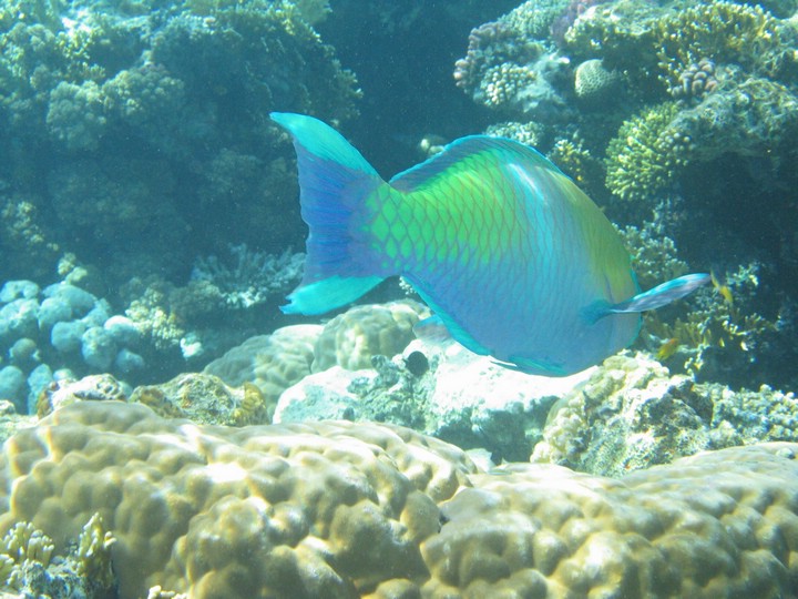 IMG_3854.JPG