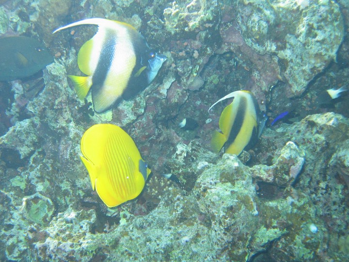 IMG_3855.JPG