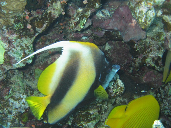 IMG_3856.JPG