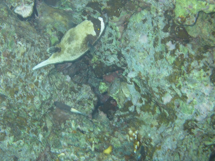 IMG_3865.JPG