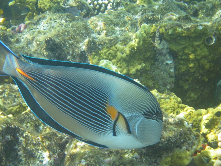 IMG_3866.JPG
