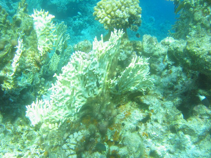 IMG_3871.JPG