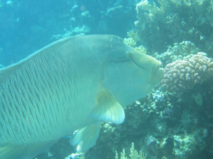 IMG_3872.JPG