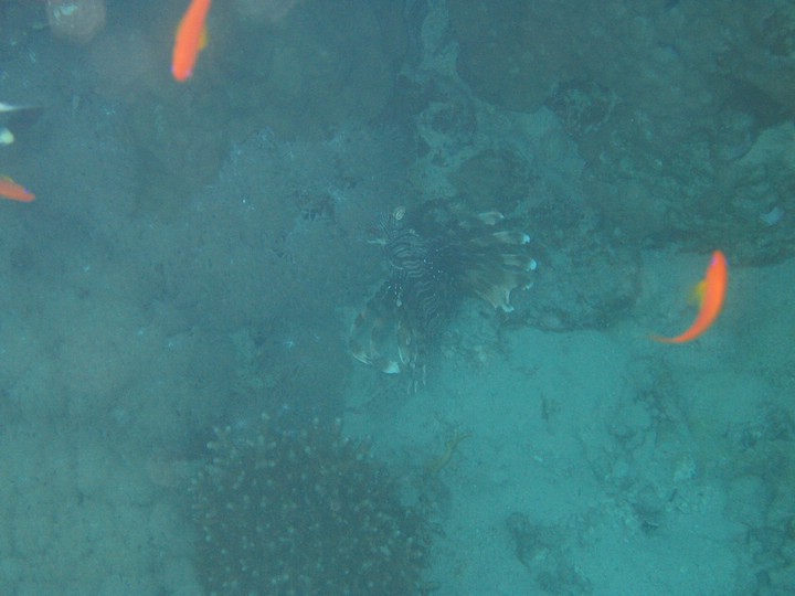 IMG_3874.JPG