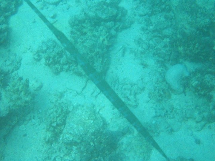 IMG_3880.JPG