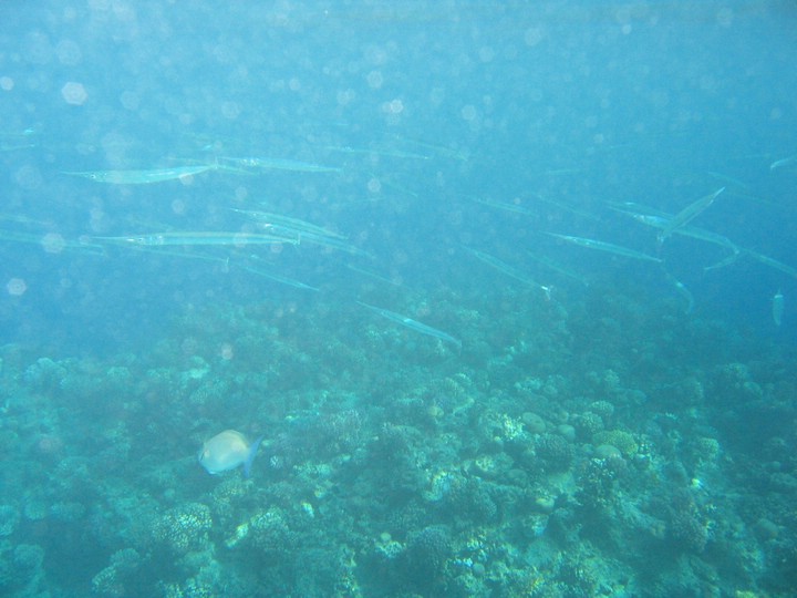 IMG_3886.JPG