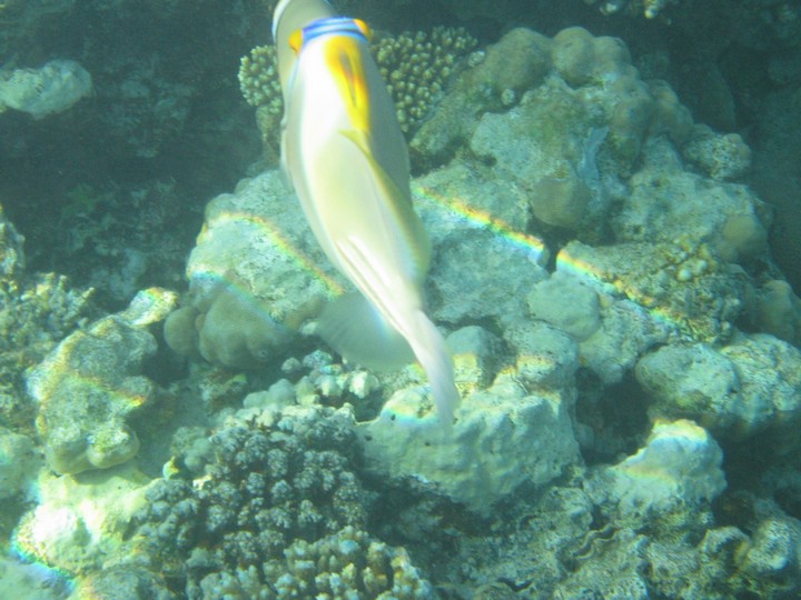 IMG_3889.JPG