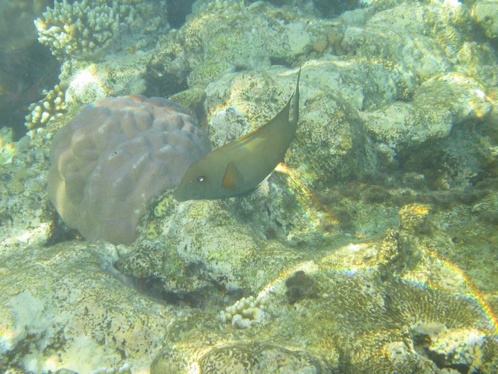 IMG_3893.JPG