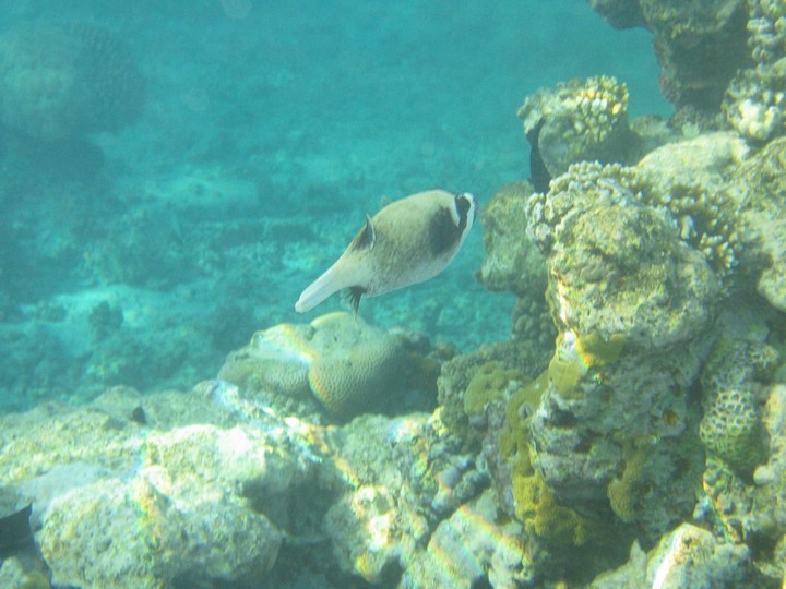 IMG_3894.JPG