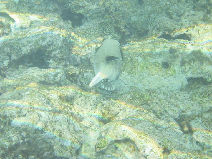 IMG_3895.JPG