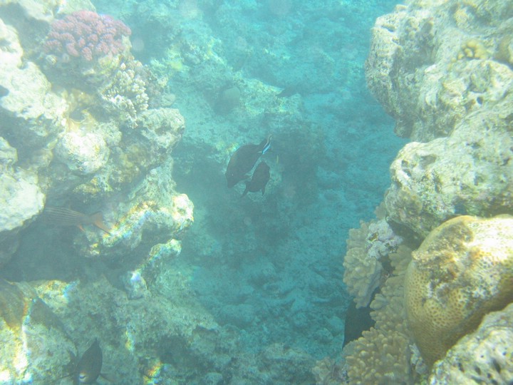 IMG_3902.JPG