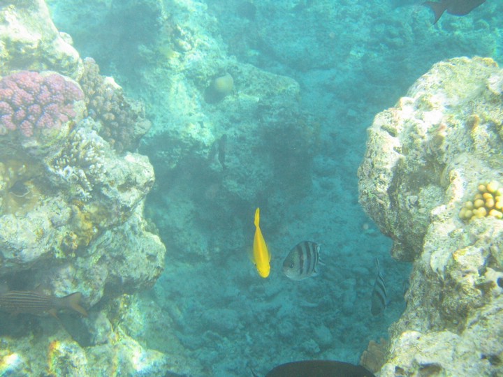 IMG_3903.JPG