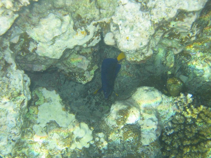 IMG_3904.JPG
