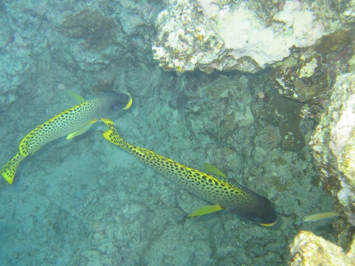 IMG_3905.JPG