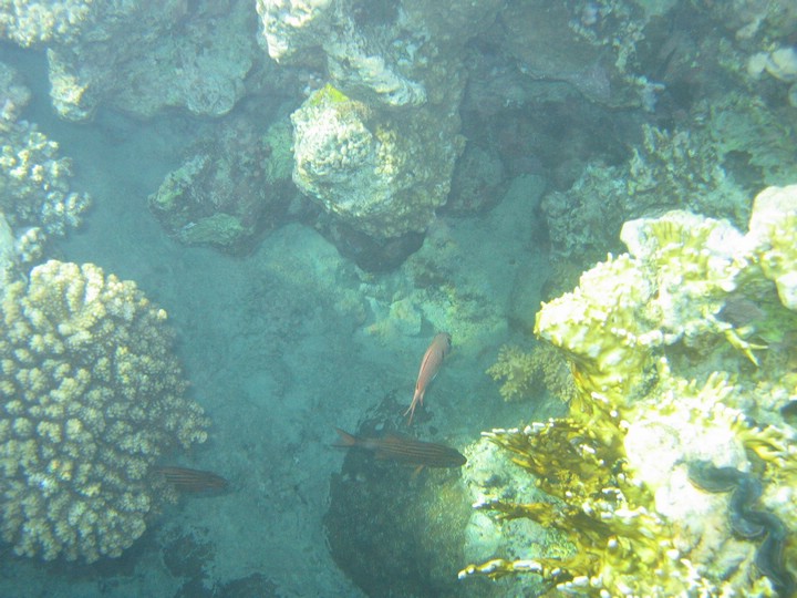 IMG_3907.JPG