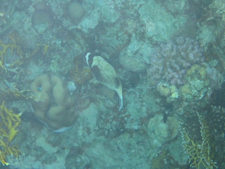 IMG_3912.JPG