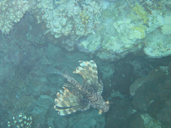 IMG_3923.JPG