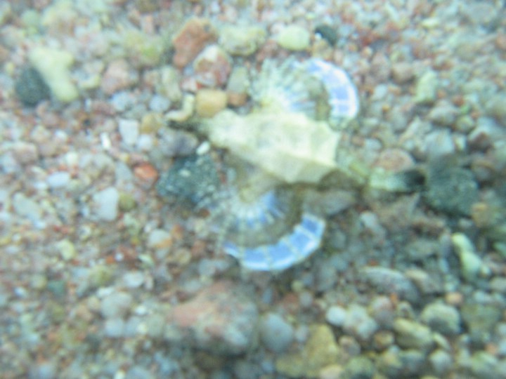 IMG_3925.JPG