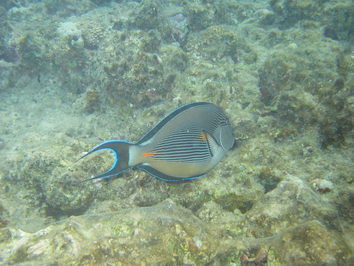 IMG_3934.JPG