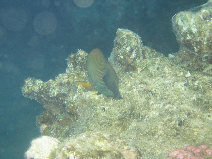 IMG_3935.JPG