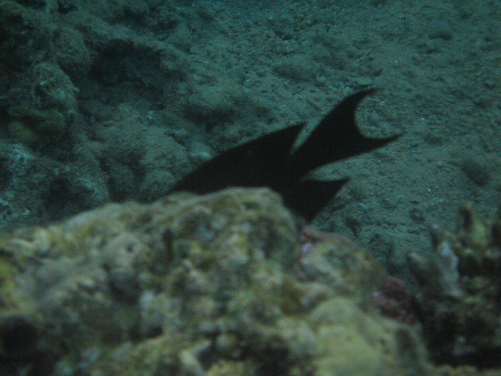 IMG_3936.JPG