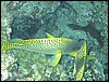 IMG_3846.JPG