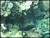 IMG_3847.JPG