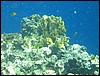 IMG_3848.JPG