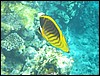 IMG_3851.JPG