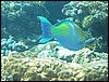 IMG_3854.JPG