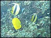 IMG_3855.JPG