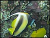 IMG_3856.JPG