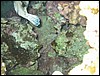 IMG_3857.JPG