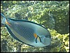 IMG_3866.JPG