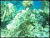 IMG_3871.JPG