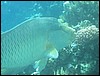 IMG_3872.JPG